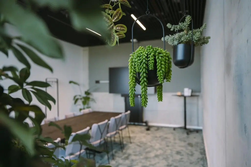 EDGE HafenCity Hamburg, kantoren, coworking, vergaderingen, evenementen