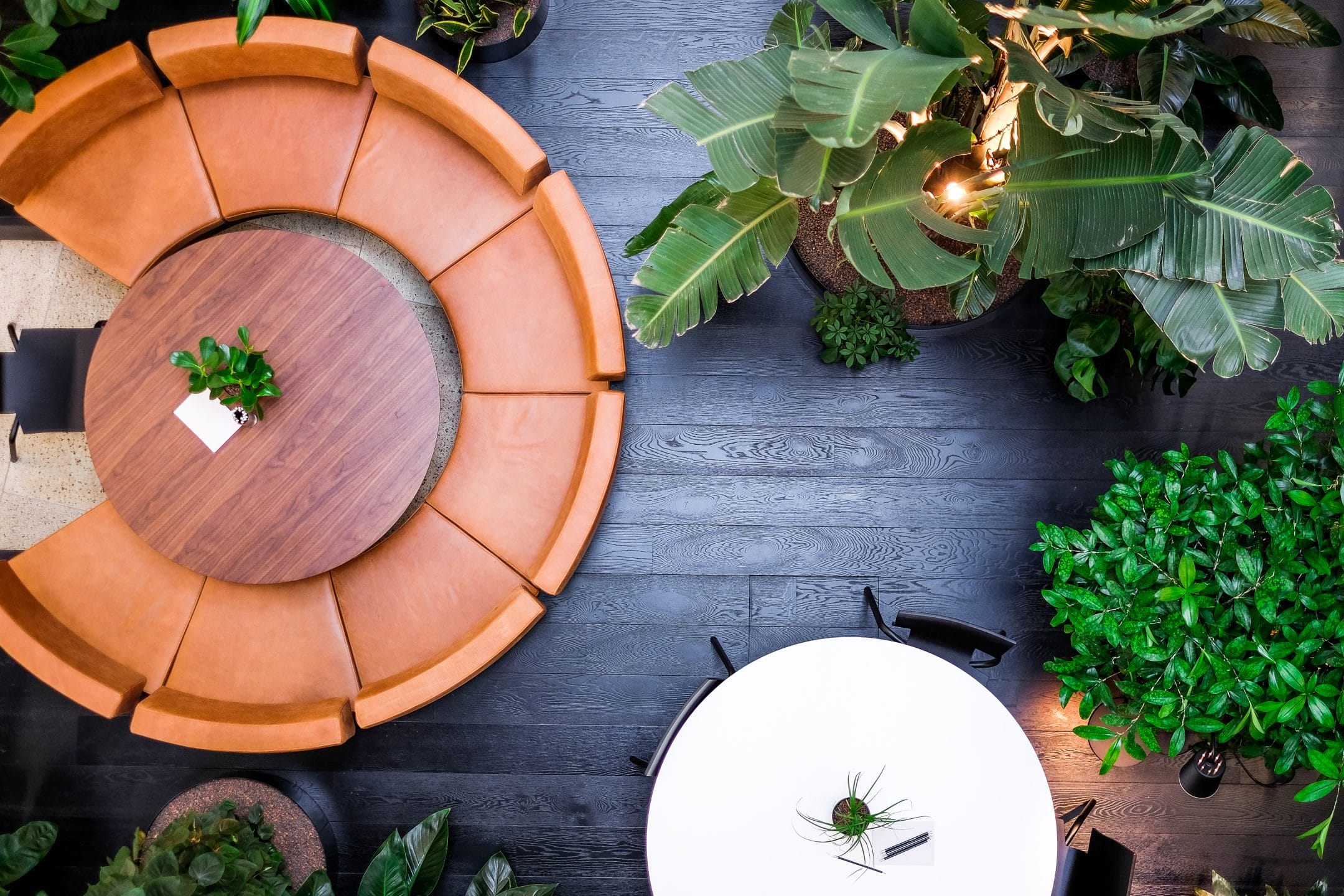 Grün, Gemütlichkeit, Professionalität, Biophilie, Coworking, Arbeitsbereiche, Pflanzen