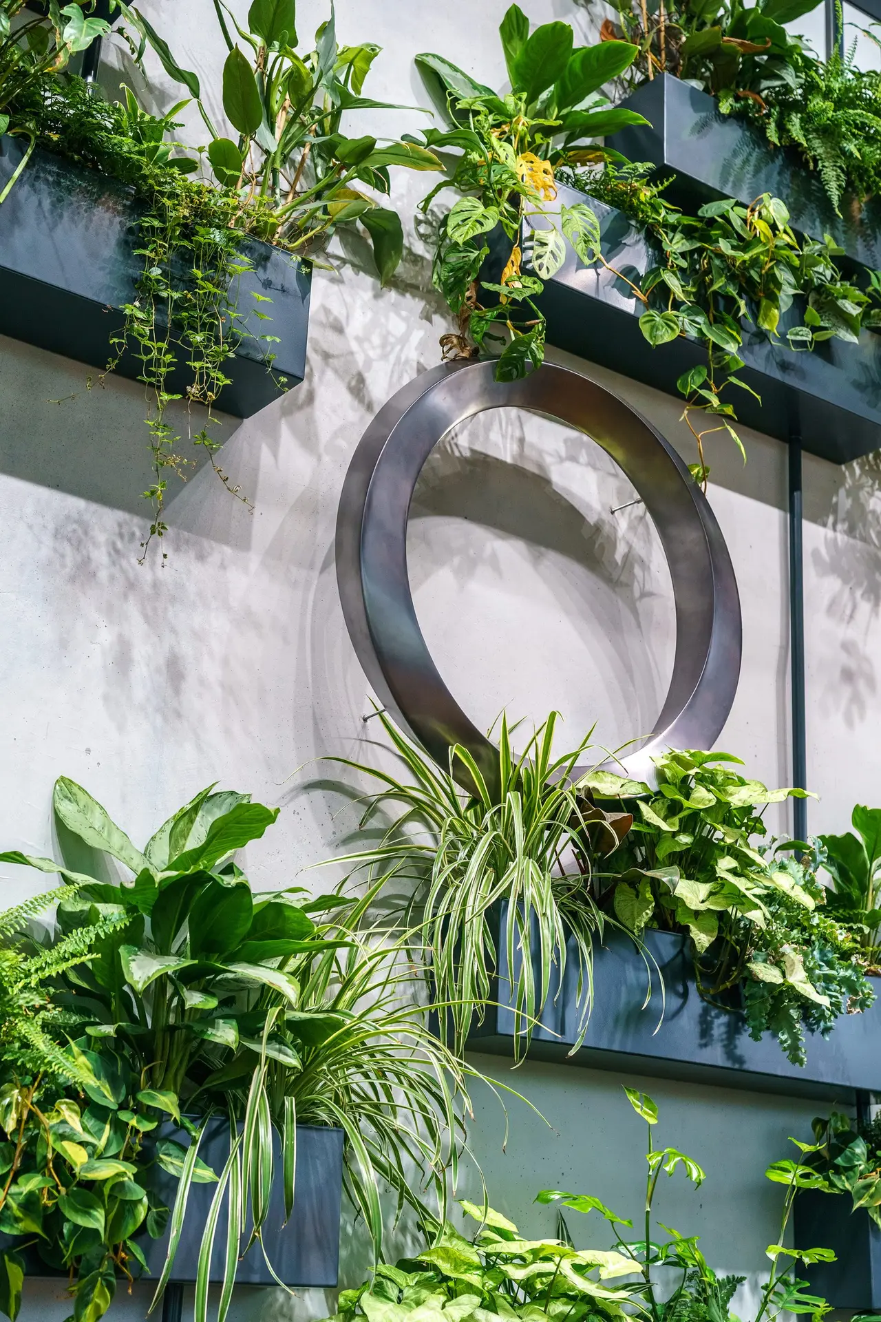Edge 3D logo on plant wall