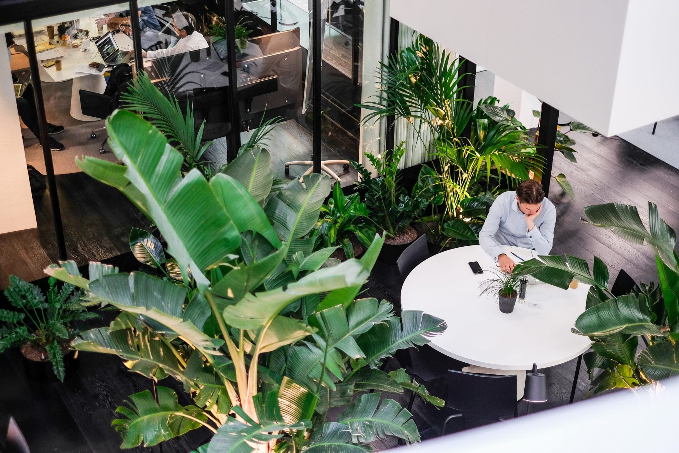 A man sits alone at a round table in a modern office space filled with large green plants, focusing intently on his laptop, in a dedicated workspace with colleagues visible in the background through glass partitions. An image from EDGE Workspaces.