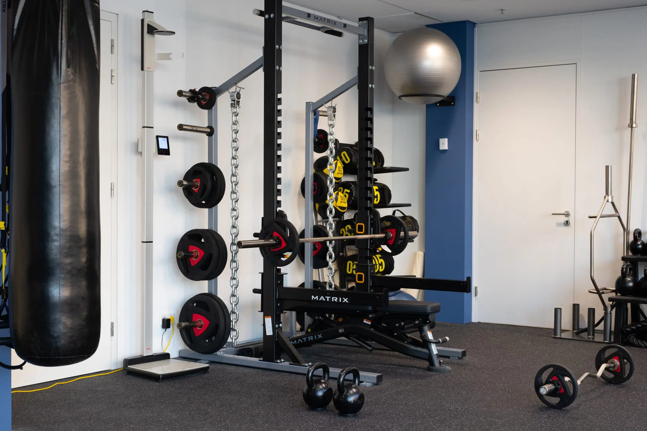 A modern gym featuring a squat rack with attached barbell and weight plates, various kettlebells on the floor, a punching bag, and a stability ball hanging from the ceiling. The space has blue An image from EDGE Workspaces.