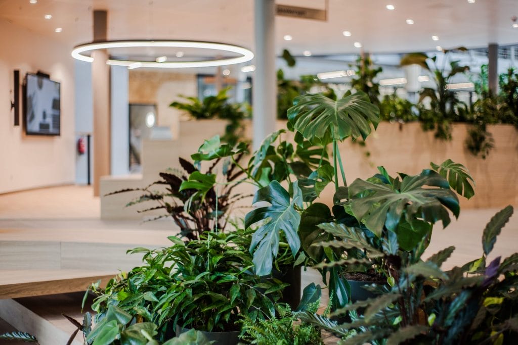 Futuristic office space with integrated wellness features like green walls, natural lighting, and ergonomic furniture, exemplifying the future of workplace design.