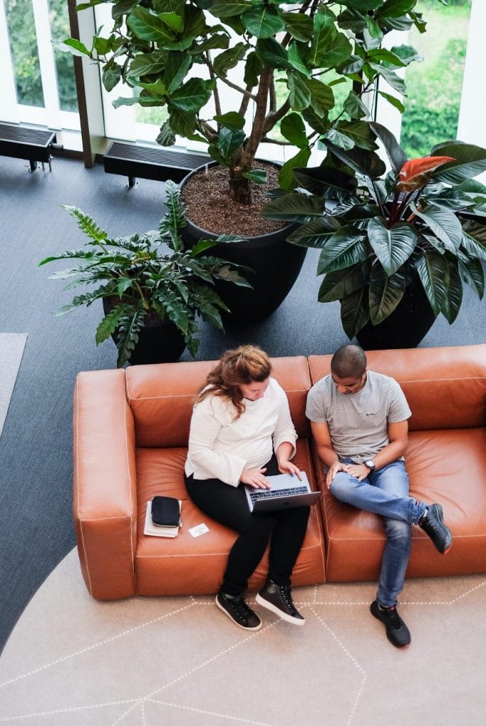 Zwei Personen, ein Mann und eine Frau, sitzen auf einem orangefarbenen Sofa in einer innovativen Coworking-Umgebung und arbeiten gemeinsam an einem Laptop. Eine große Topfpflanze steht neben ihnen und verstärkt das Grün. Ein Bild von EDGE Workspaces.